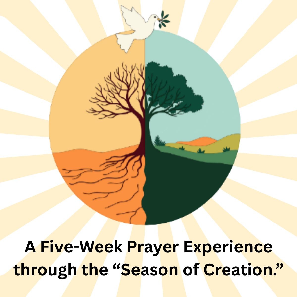 A Five Week Prayer Experience Through the Season of Creation