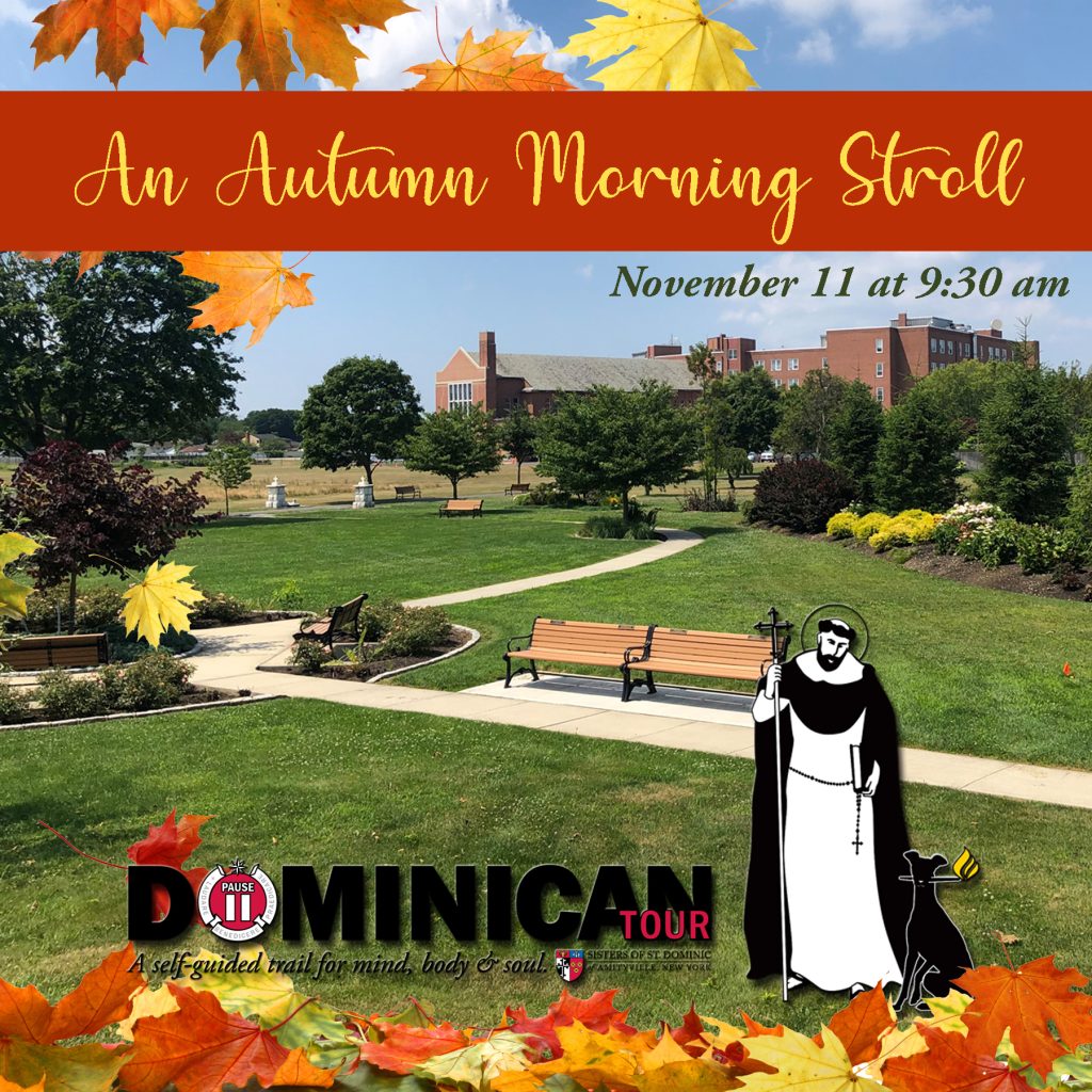 An Autumn Morning Stroll
