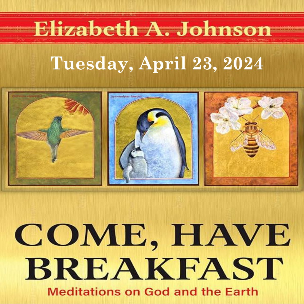 Meditations on Laudato Si: An Evening with Elizabeth Johnson, CSJ