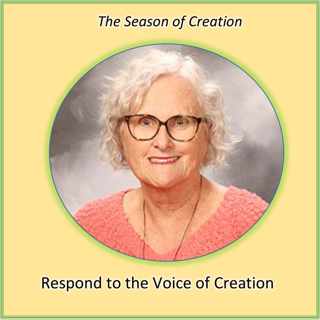 Dominican Sisters at the United Nation Respond to the Voice of Creation