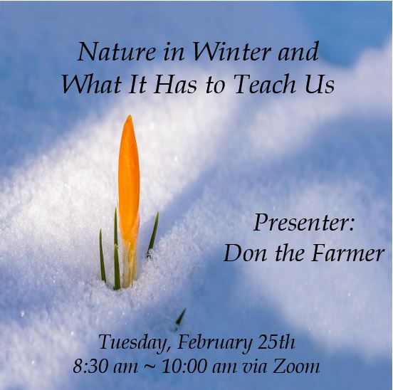 Nature in Winter - and What It Has to Teach Us