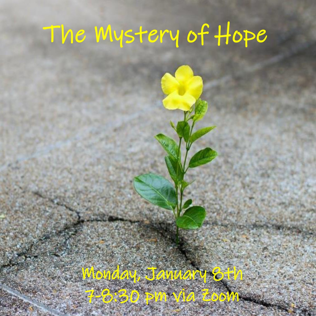 The Mystery of Hope